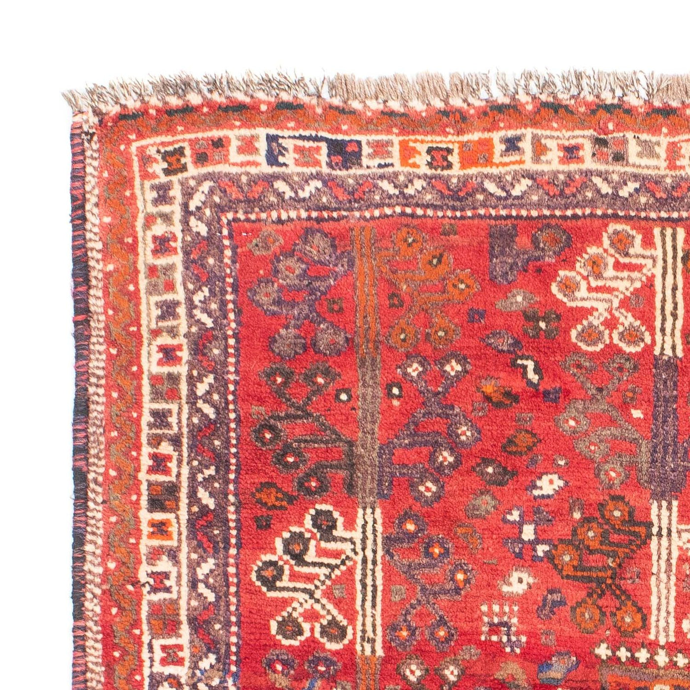 Shiraz Dywan 162x110cm - Dywan perski