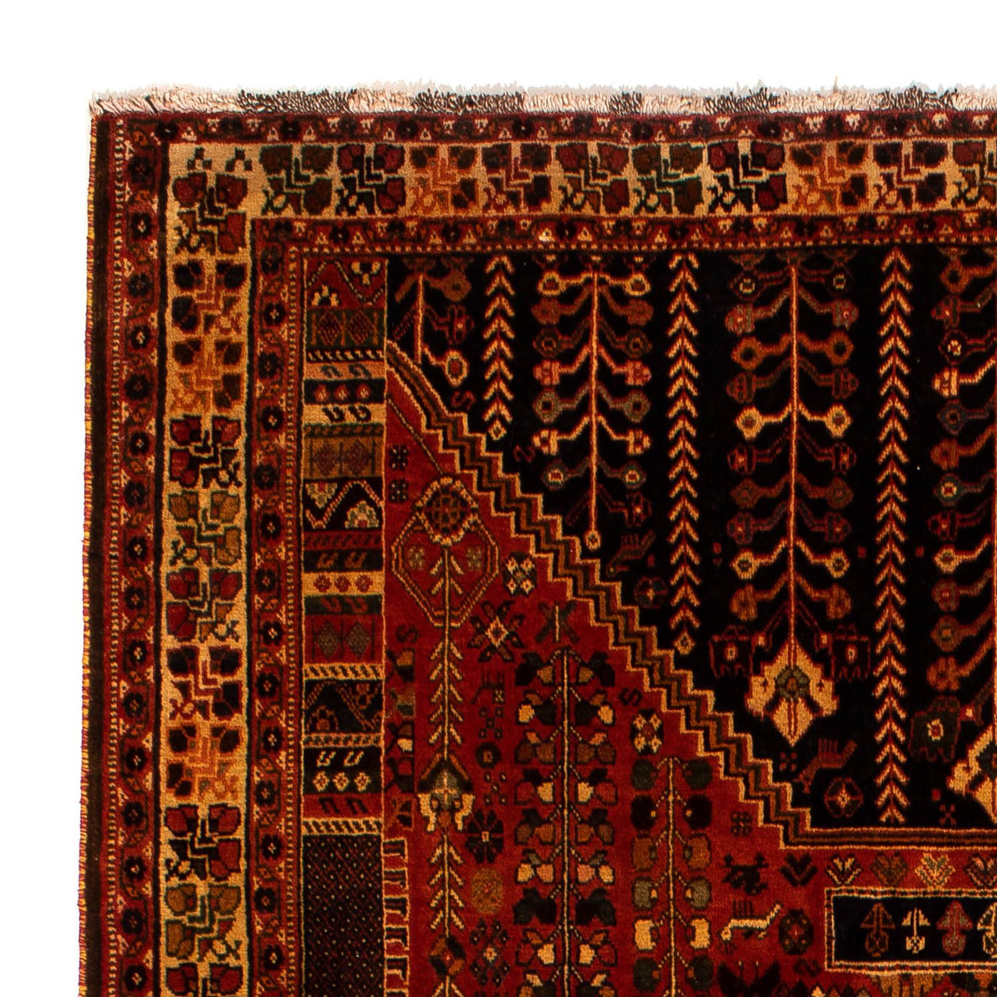 Shiraz Dywan 304x204cm - Dywan perski
