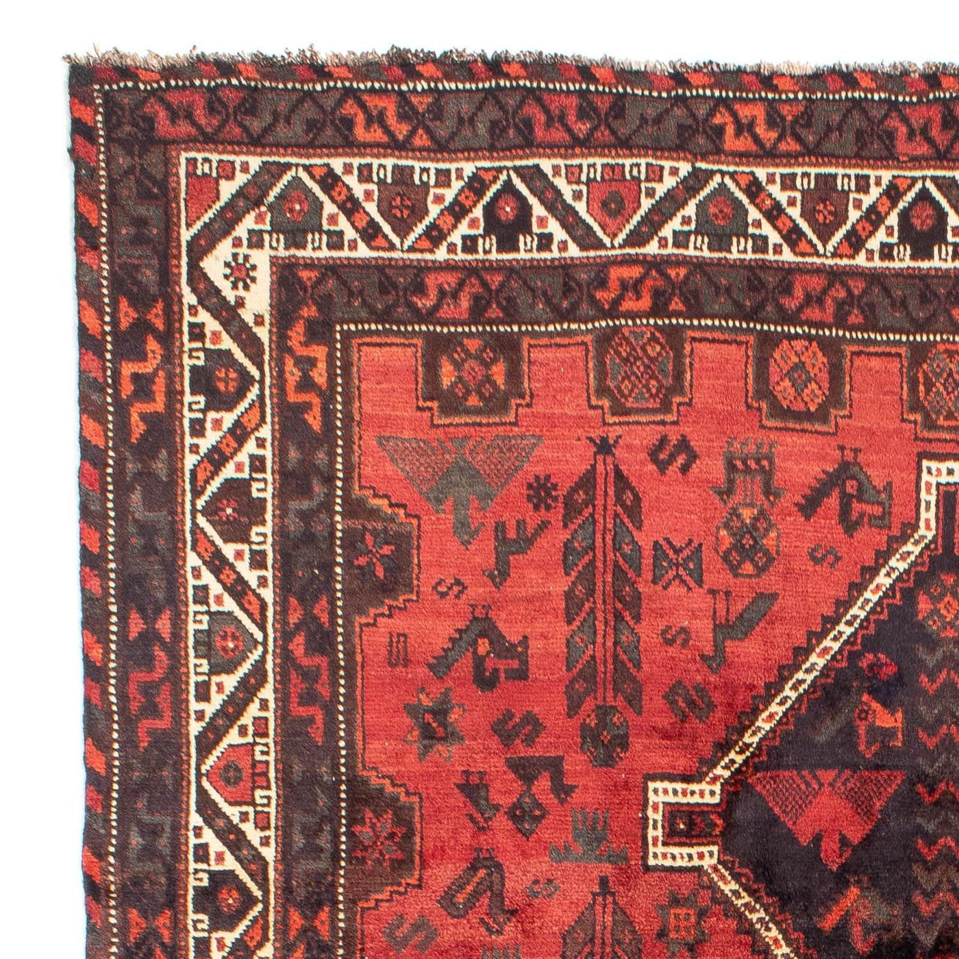 Shiraz Dywan 318x206cm - Dywan perski