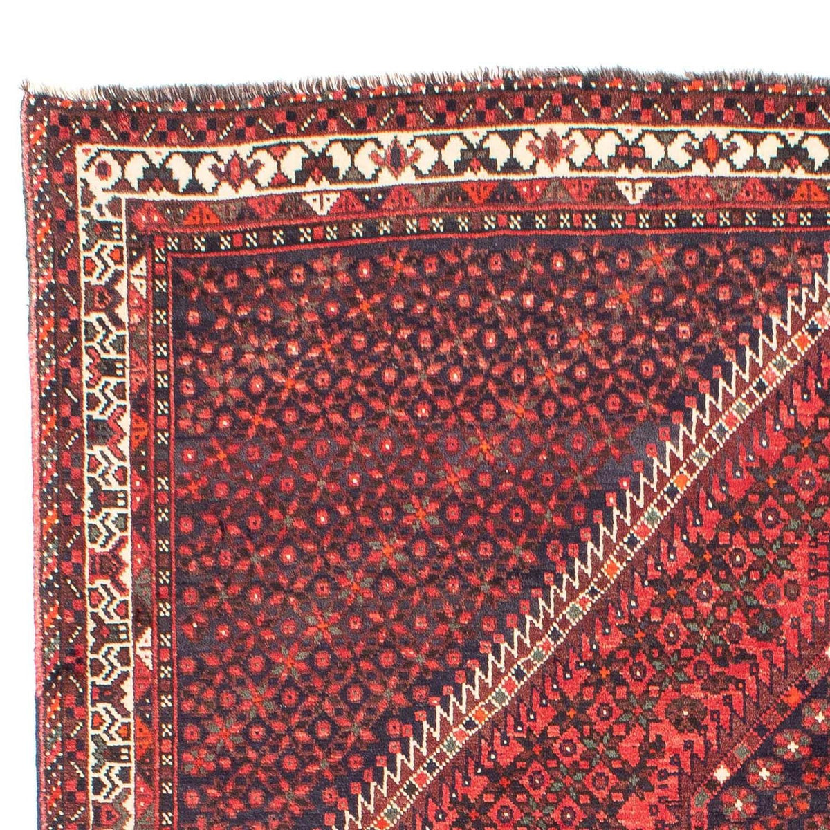 Shiraz Dywan 206x281cm - Dywan perski