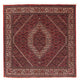 Bidjar Dywan 152x148cm - Dywan perski