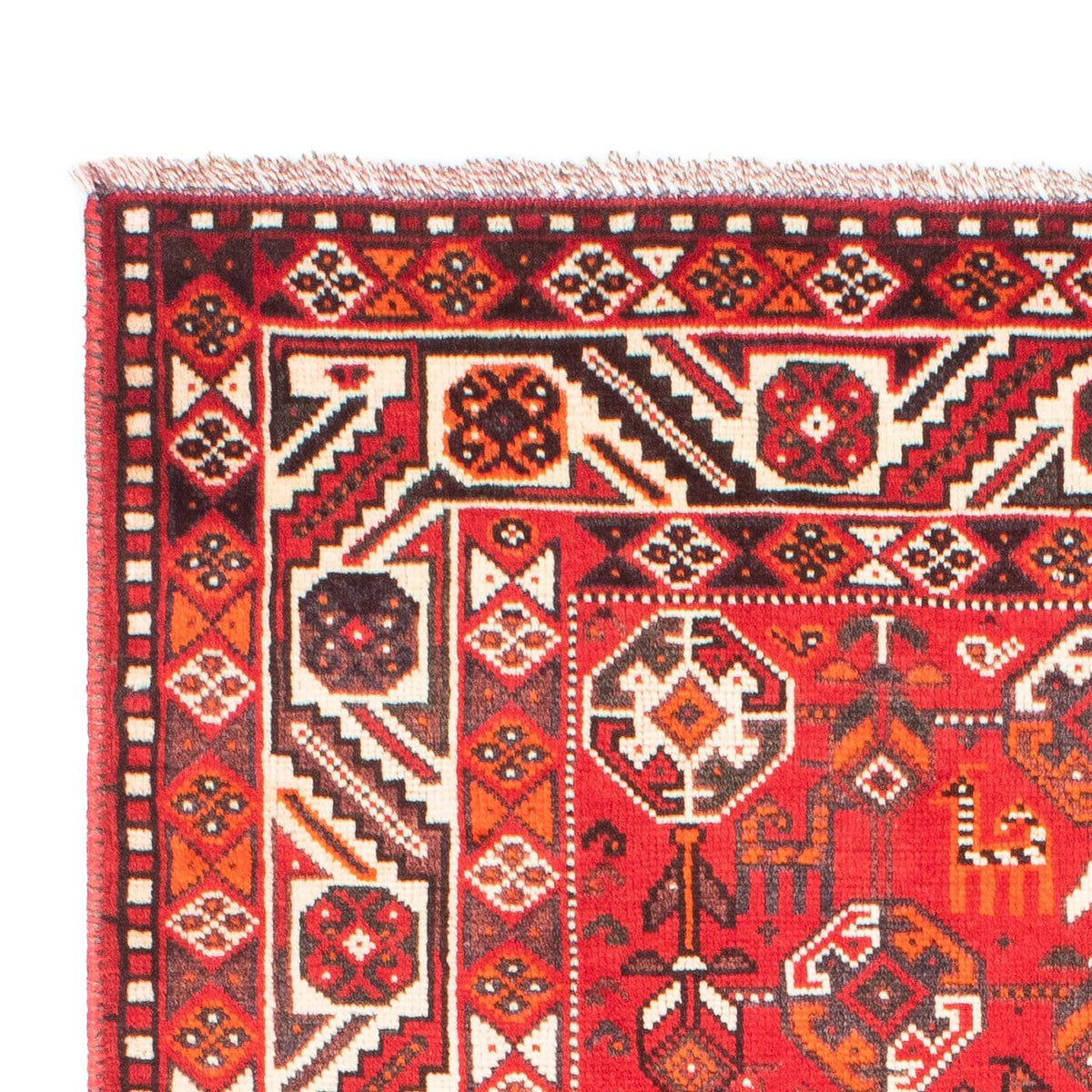 Shiraz Dywan 110x159cm - Dywan perski