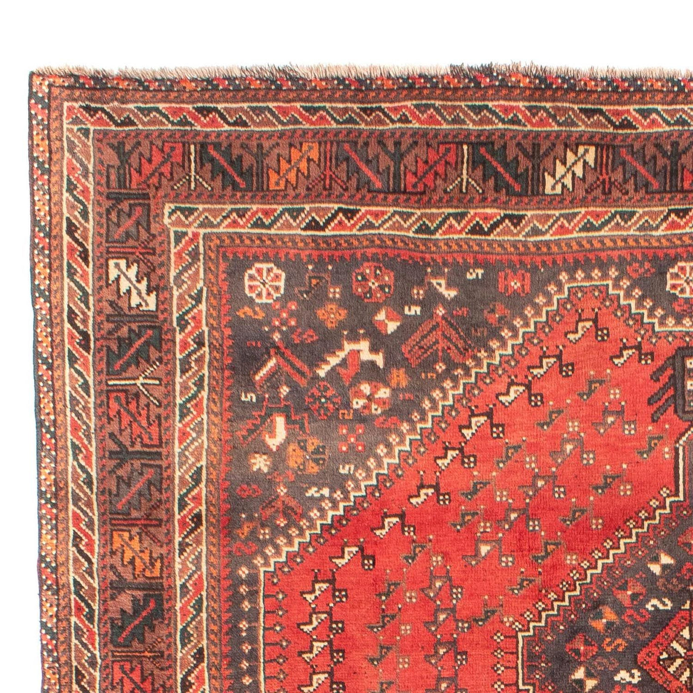 Shiraz Dywan 279x203cm - Dywan perski