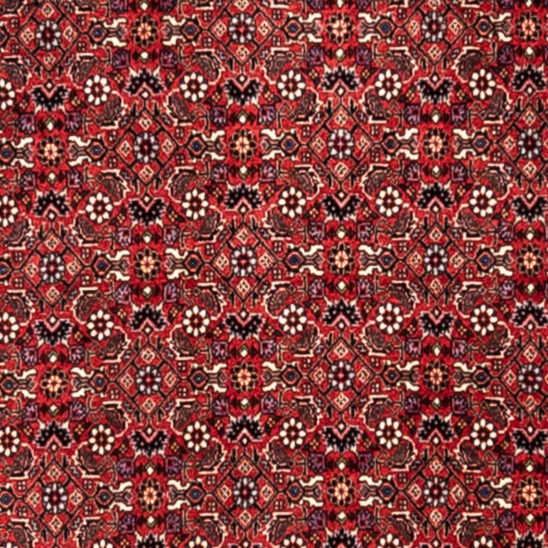 Perski dywan - Bijar - Royal - 345 x 253 cm - czerwony