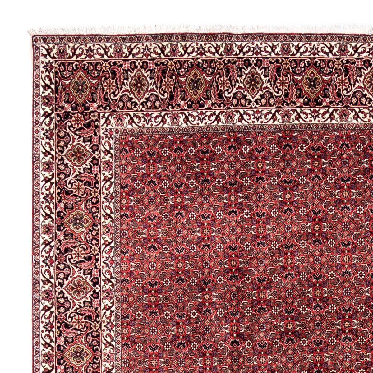 Perski dywan - Bijar - Royal - 345 x 253 cm - czerwony