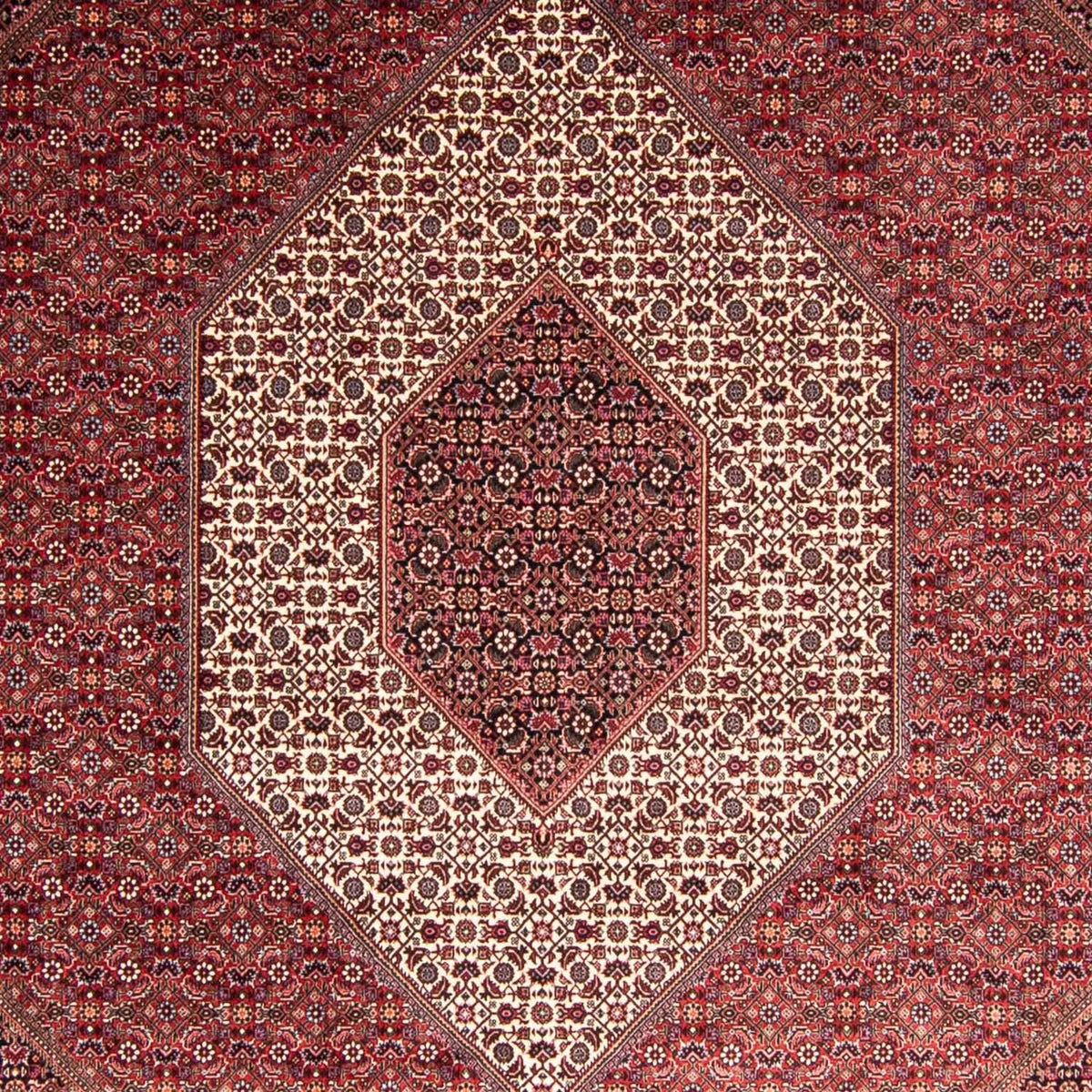 Dywan perski - Bijar - 344 x 254 cm - jasna czerwień