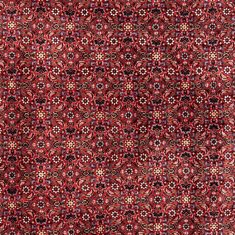Perski dywan - Bijar - Royal - 338 x 250 cm - czerwony