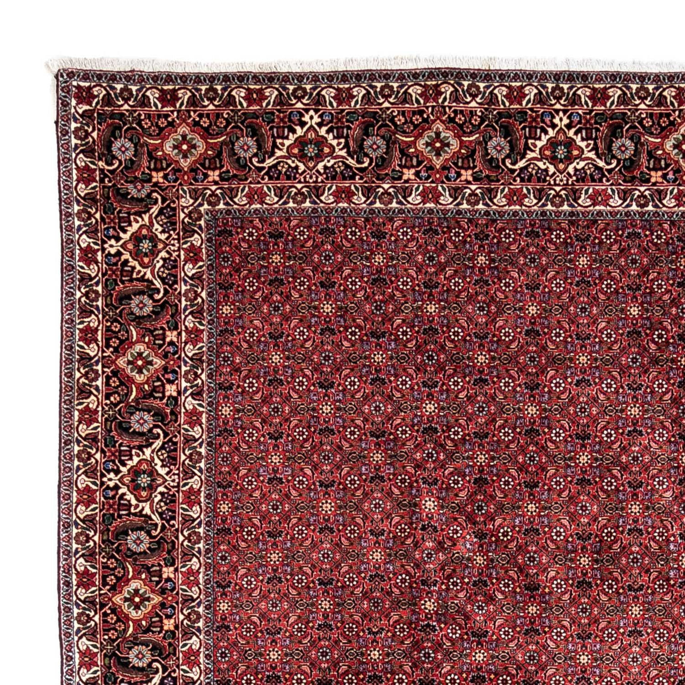 Bidjar - Takab Dywan 338x250cm - Dywan perski