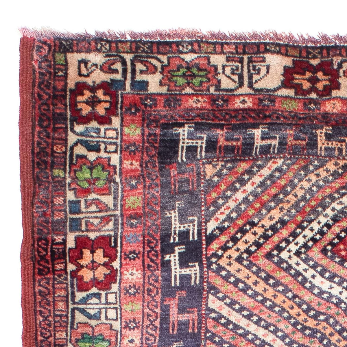 Dywan beludżycki - 157 x 104 cm - wielokolorowy