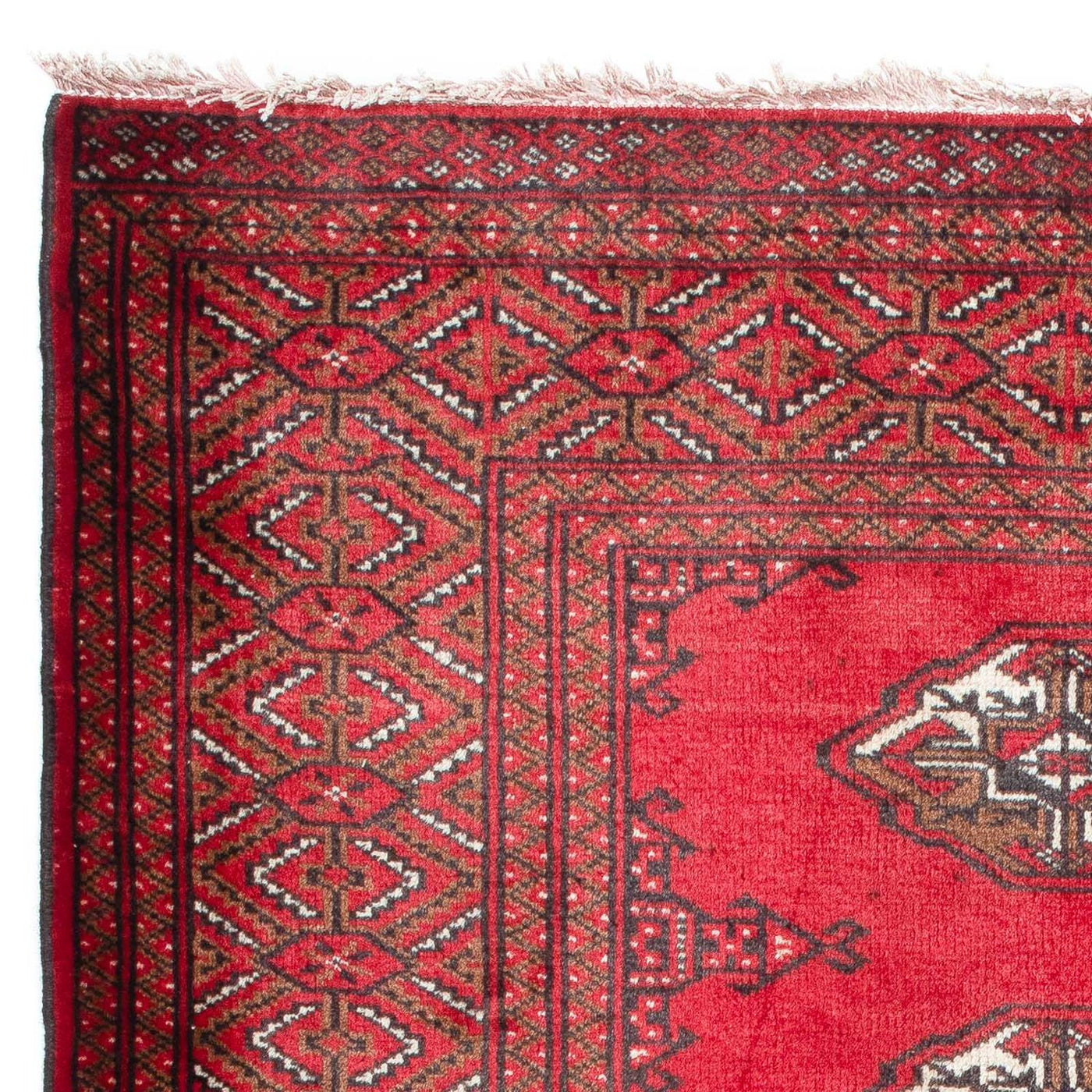 Dywan beludżycki 144x103cm - Dywan orientalny