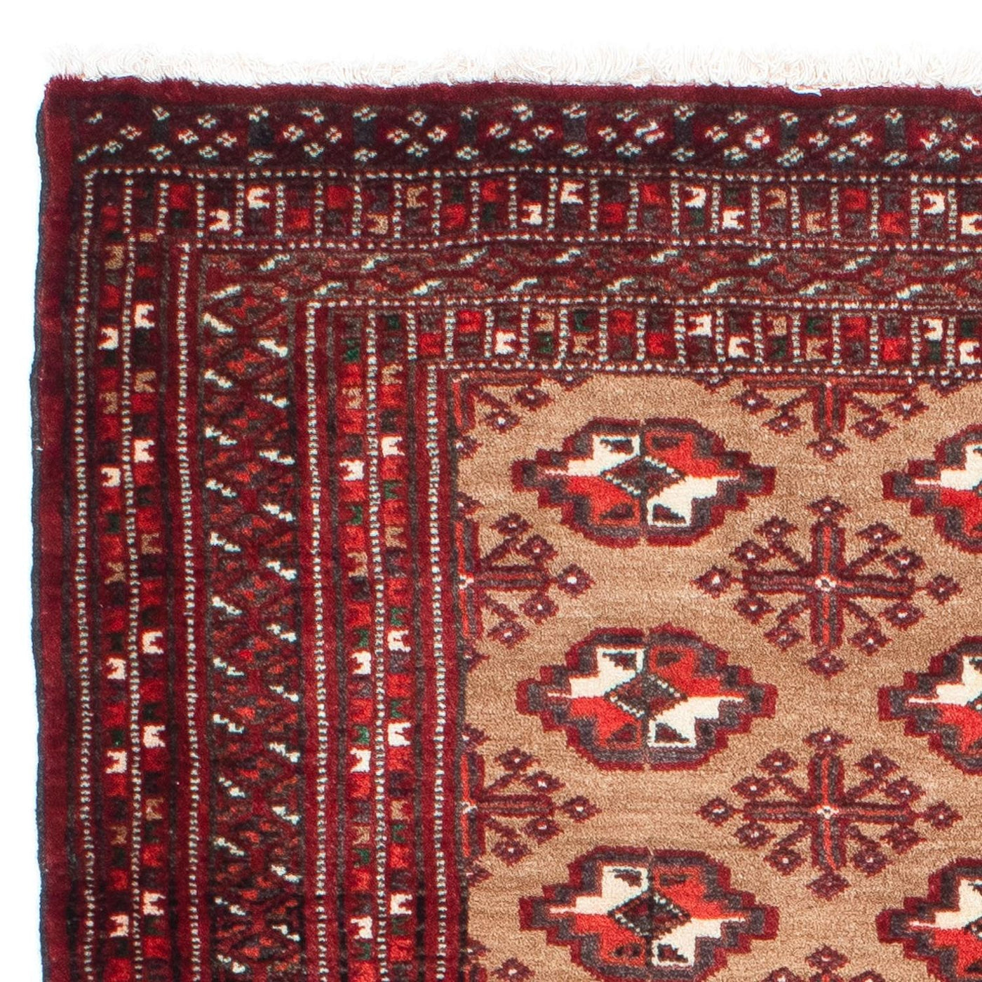 Dywan beludżycki 154x98cm - Dywan orientalny