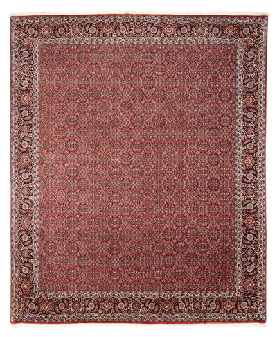 Bidjar Dywan 252x300cm - Dywan perski