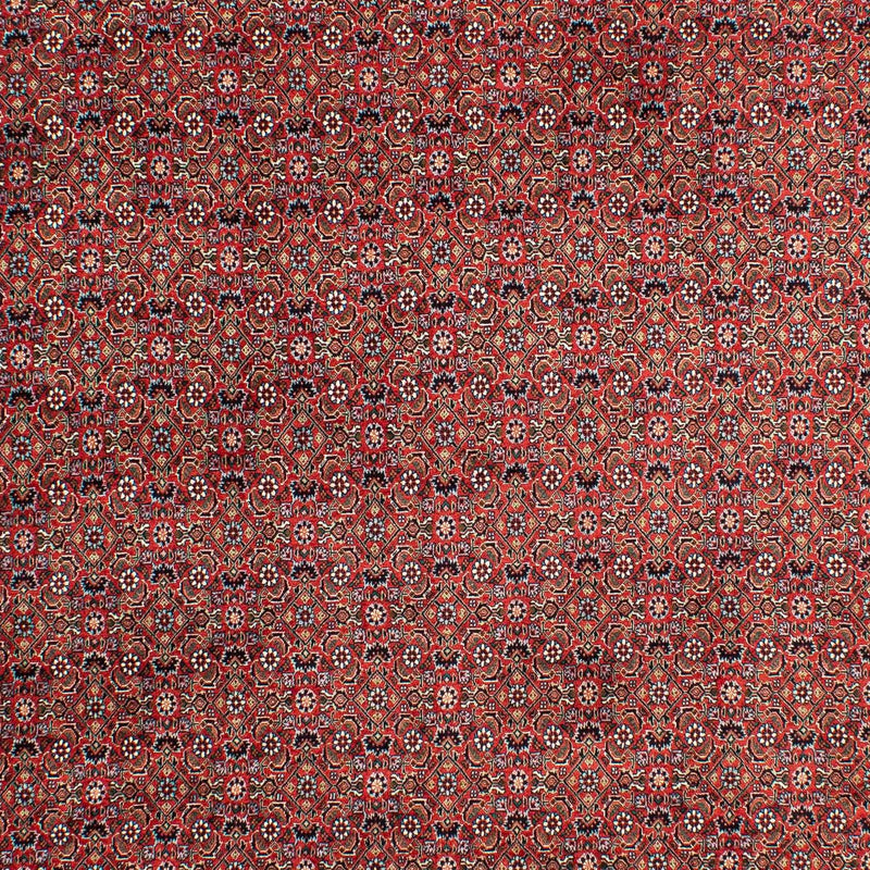 Dywan perski - Bijar - 299 x 203 cm - jasna czerwień