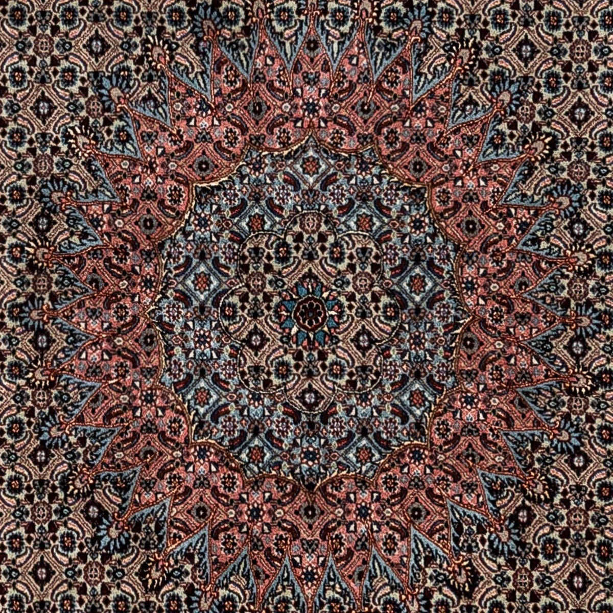 Dywan perski - Klasyczny - 347 x 252 cm - jasna mocca