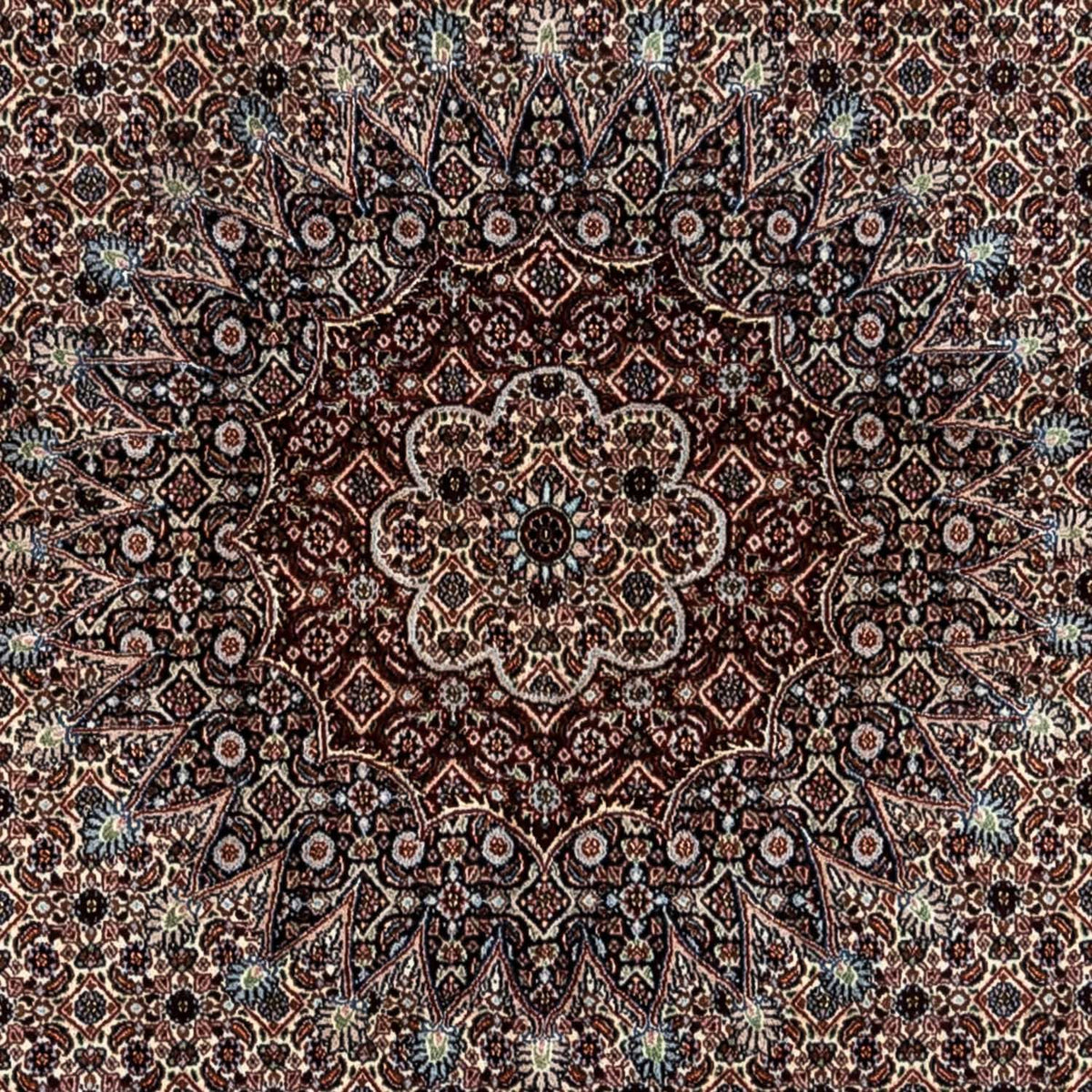 Dywan perski - Klasyczny - 344 x 246 cm - beżowy