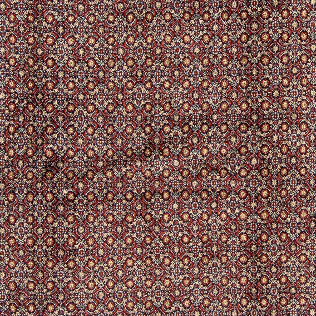 Dywan perski - Klasyczny kwadratowy  - 252 x 252 cm - wielokolorowy