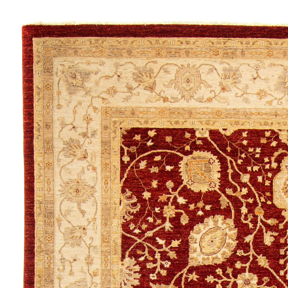 Dywan Zieglera - 343 x 248 cm - ciemna czerwień