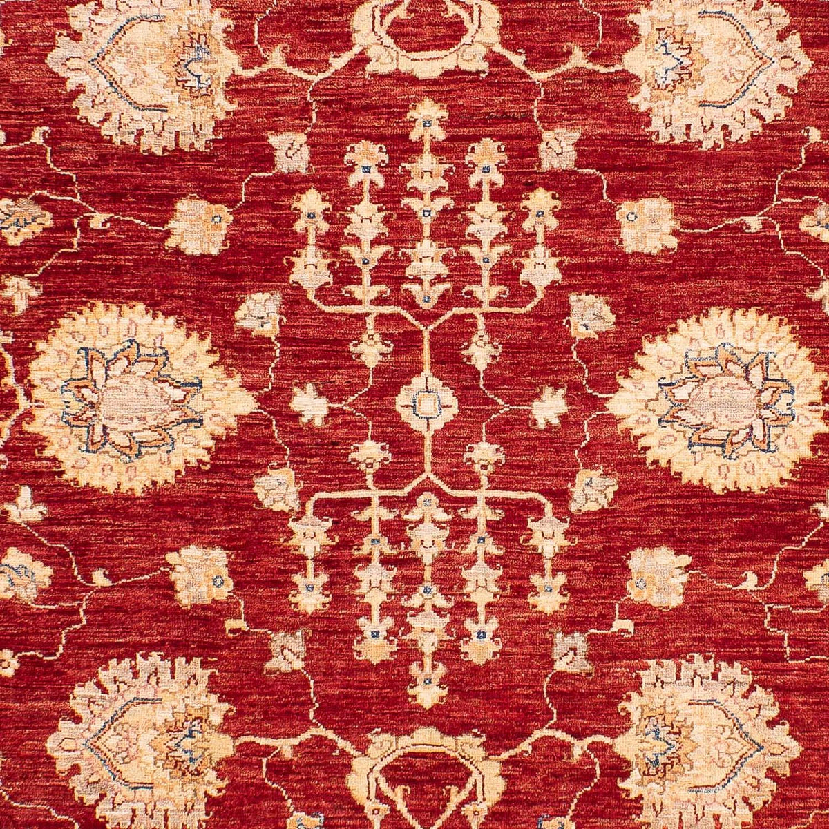 Dywan Zieglera - 218 x 169 cm - ciemnoniebieski