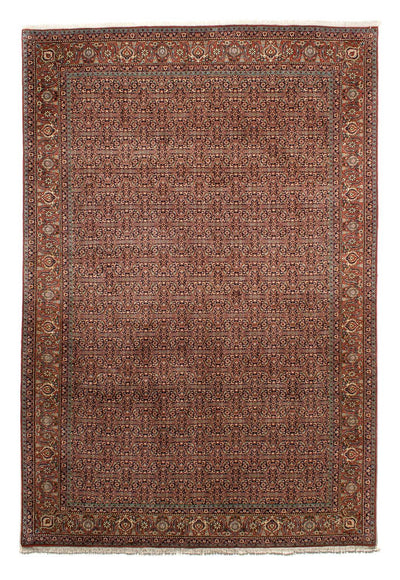 Bidjar Dywan 202x298cm - Dywan perski - wielokolorowy