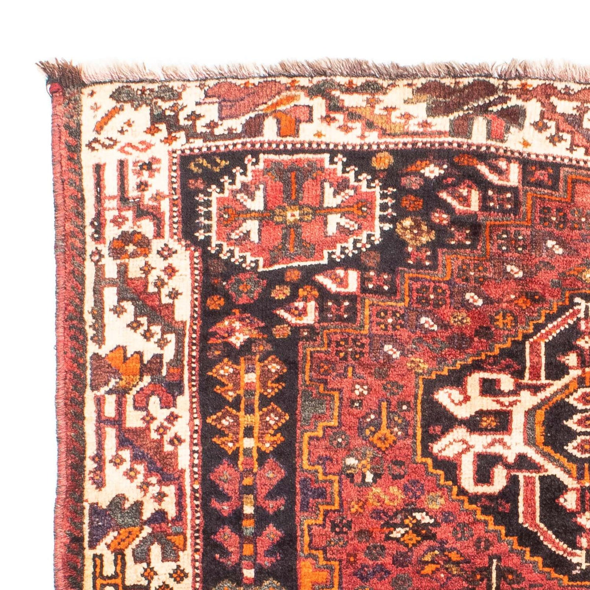 Shiraz Dywan 114x152cm - Dywan perski