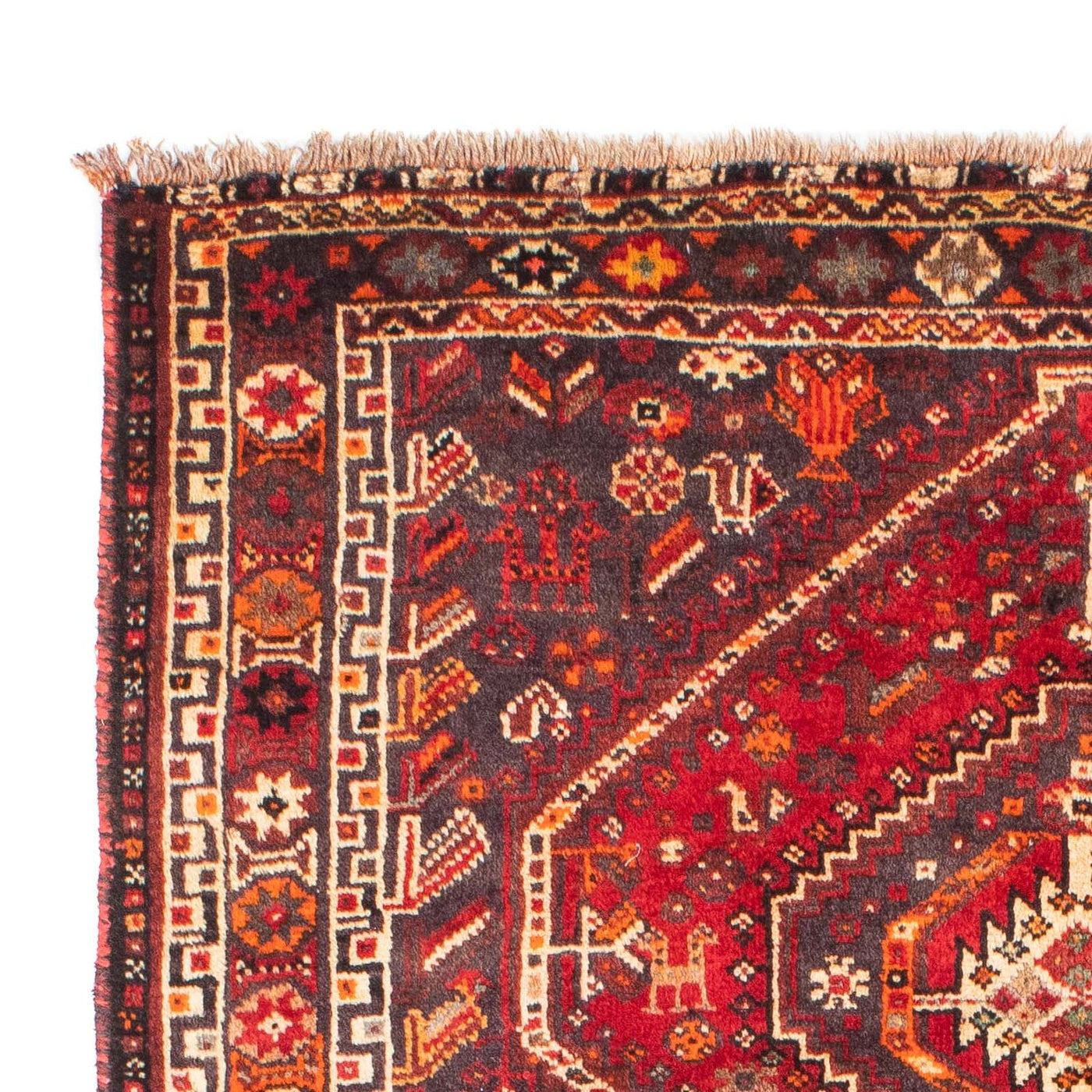 Shiraz Dywan 170x116cm - Dywan perski