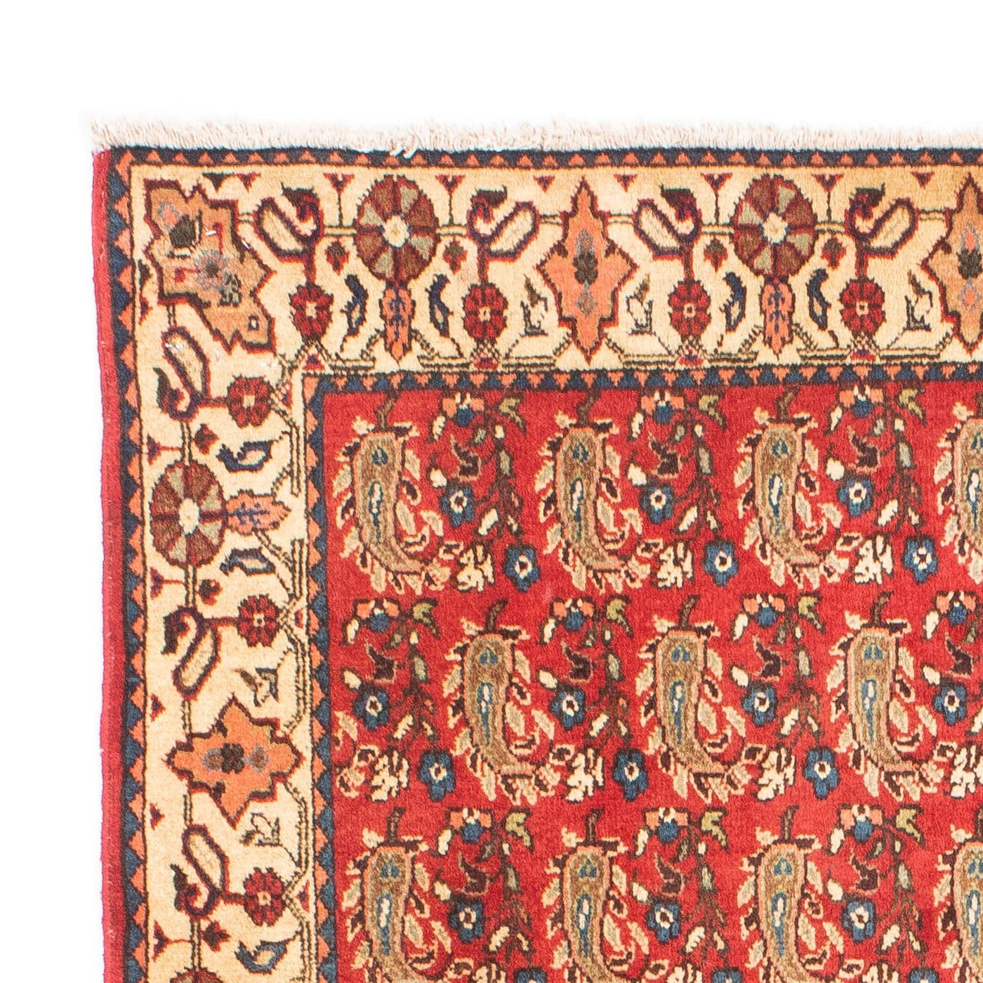 Shiraz Dywan 160x110cm - Dywan perski