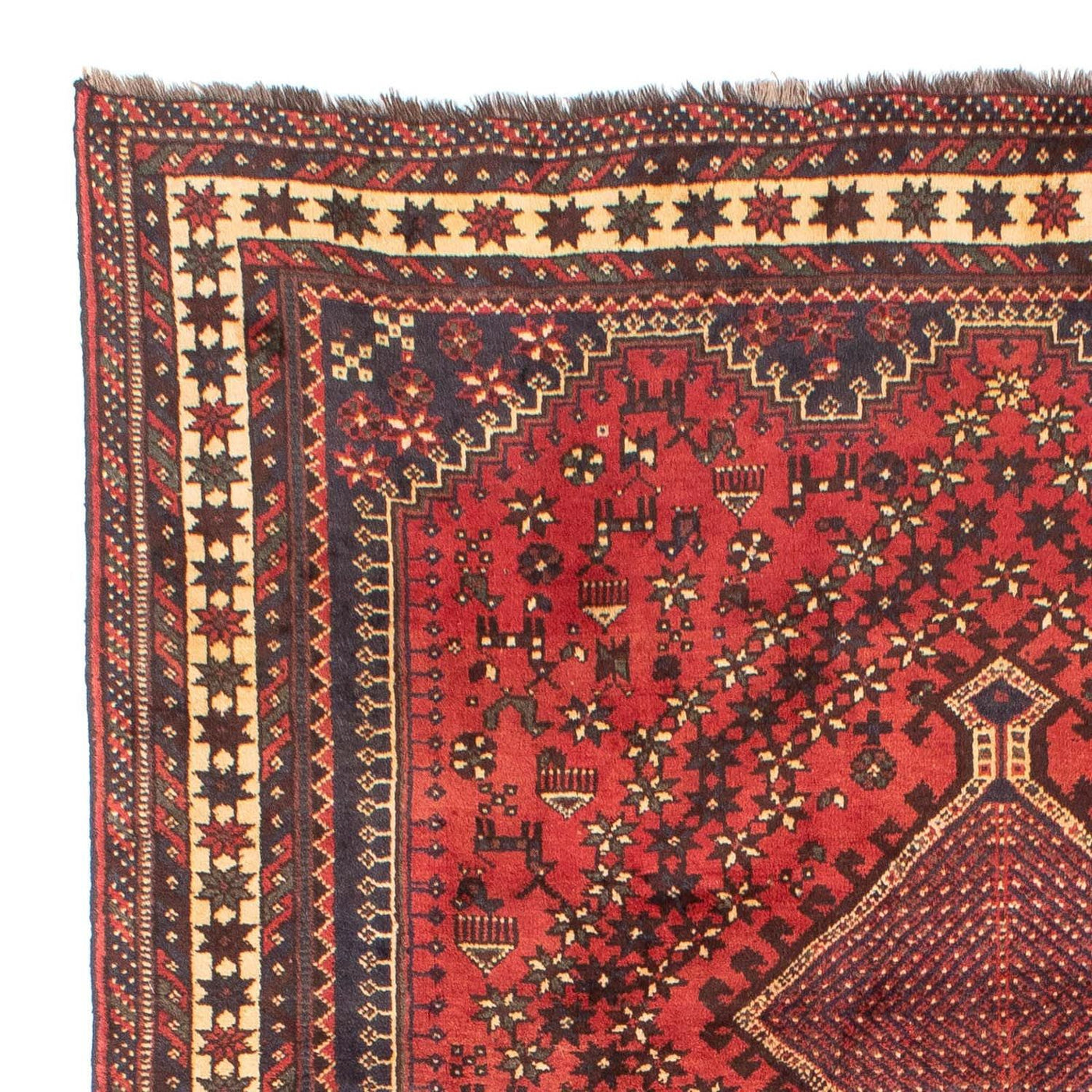 Shiraz Dywan 290x205cm - Dywan perski