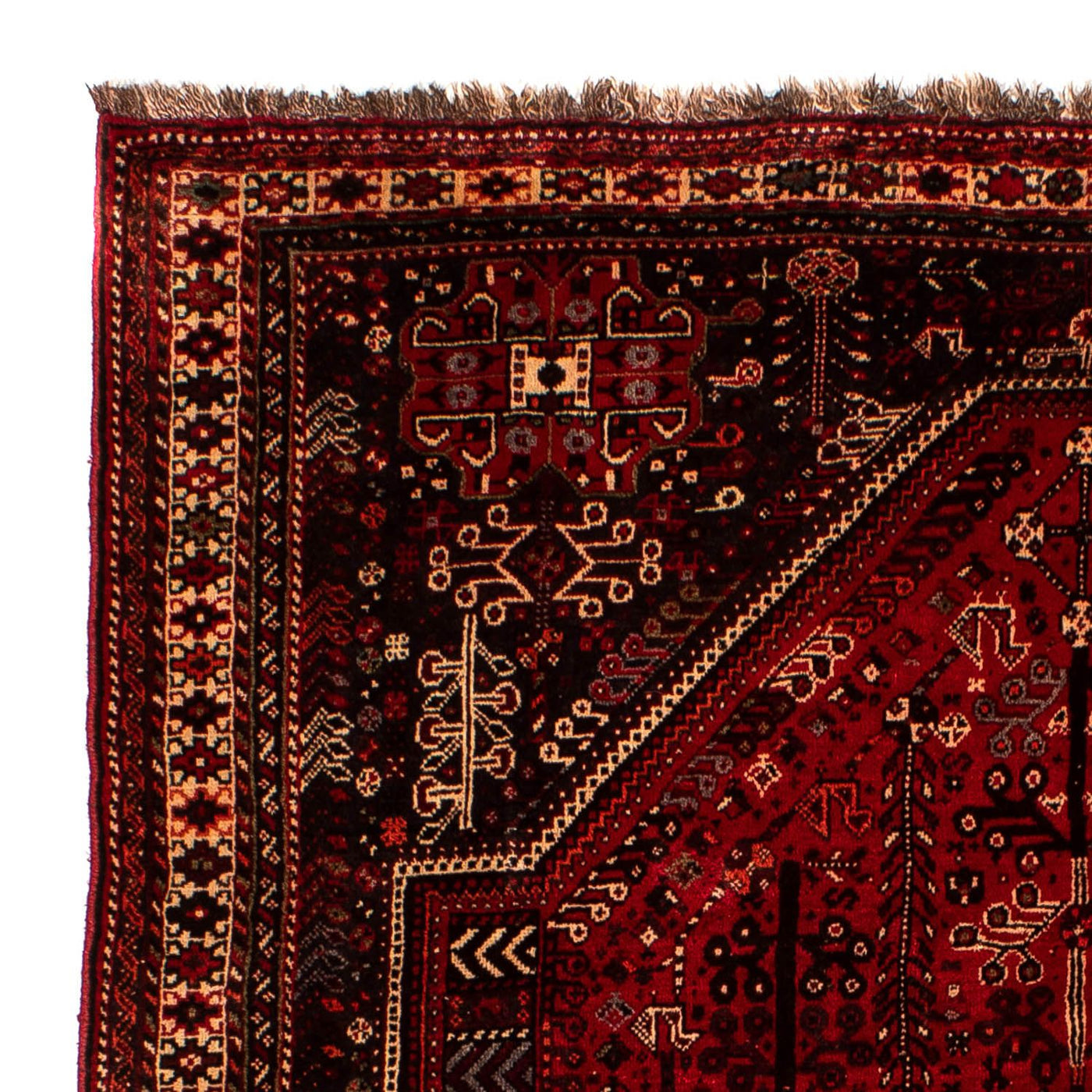 Shiraz Dywan 245x190cm - Dywan perski