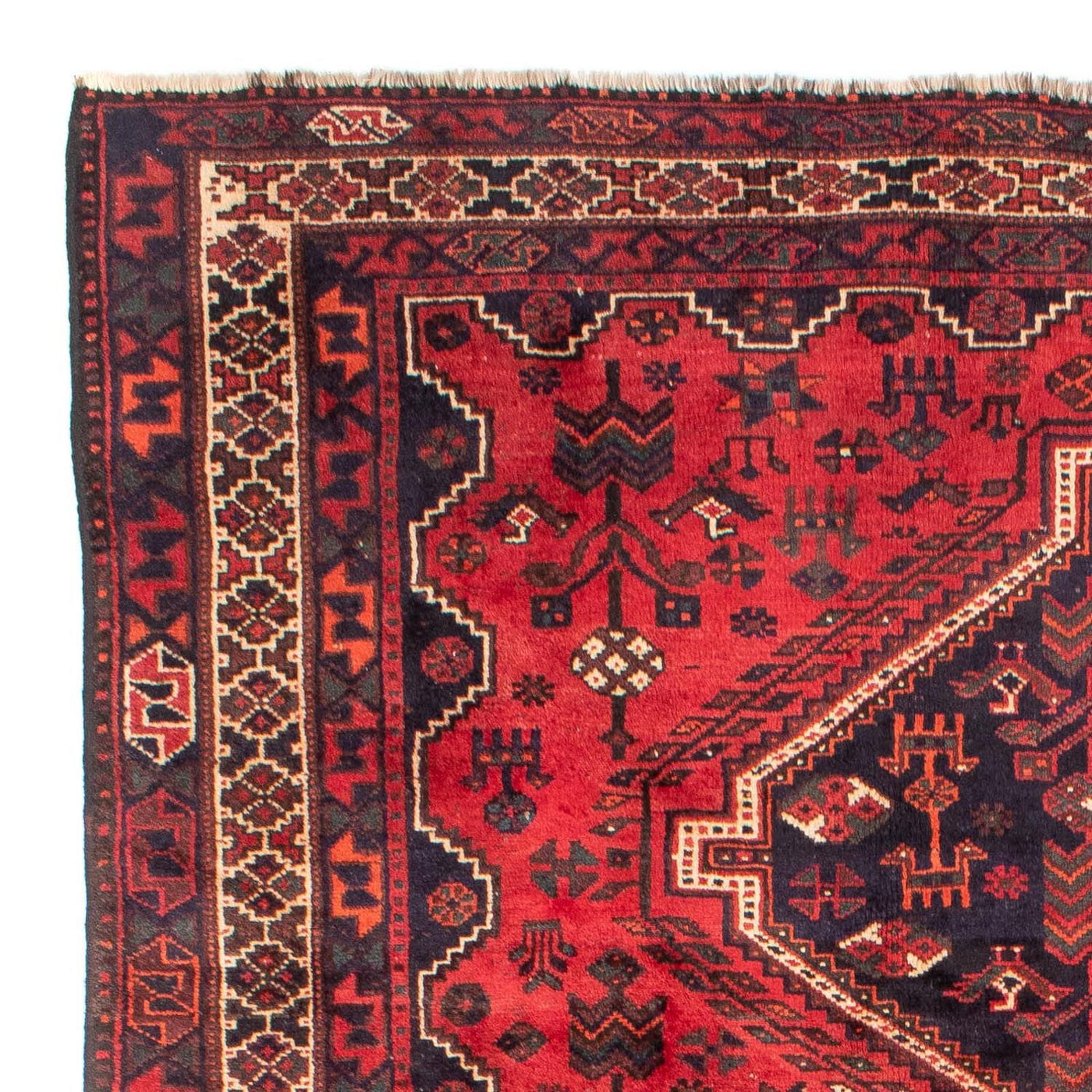Shiraz Dywan 305x215cm - Dywan perski