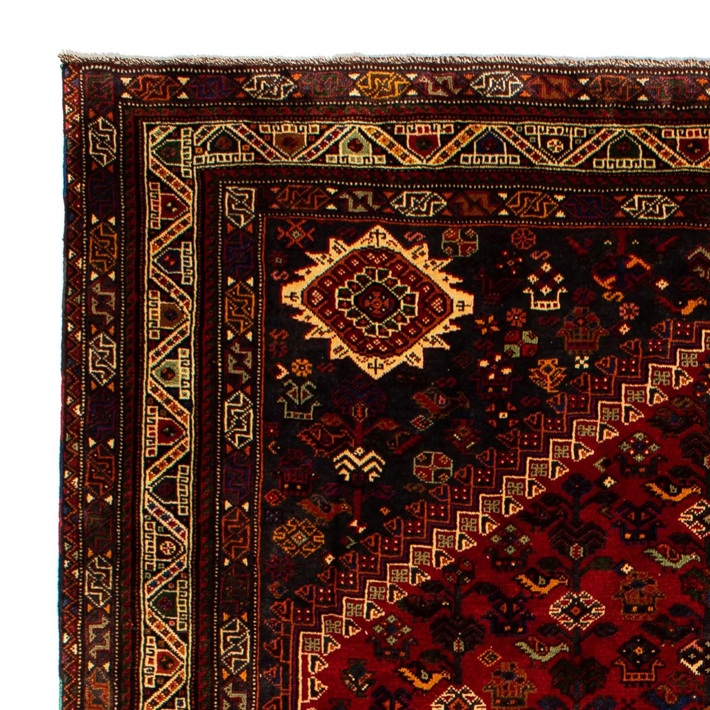 Shiraz Dywan 295x210cm - Dywan perski