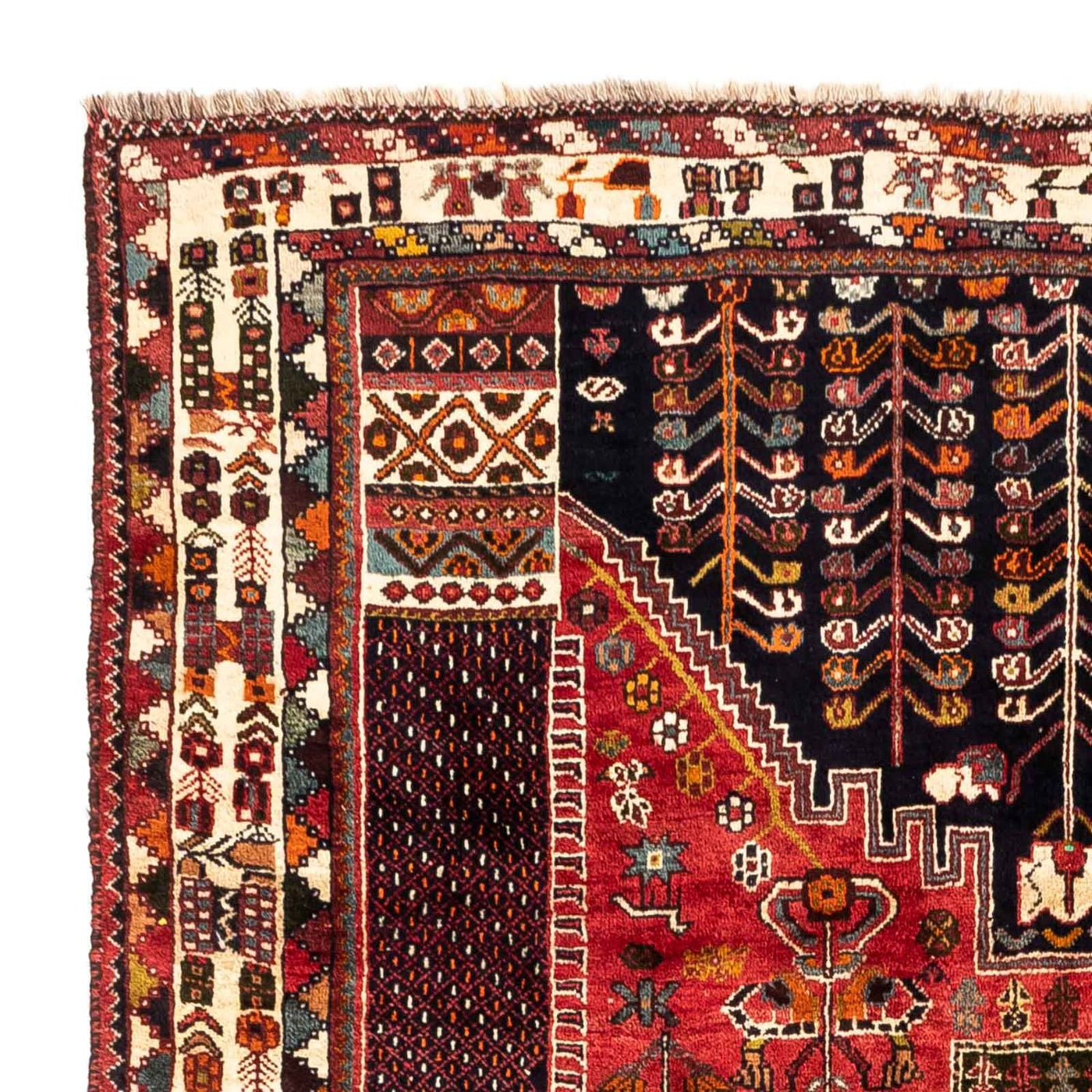 Shiraz Dywan 255x175cm - Dywan perski