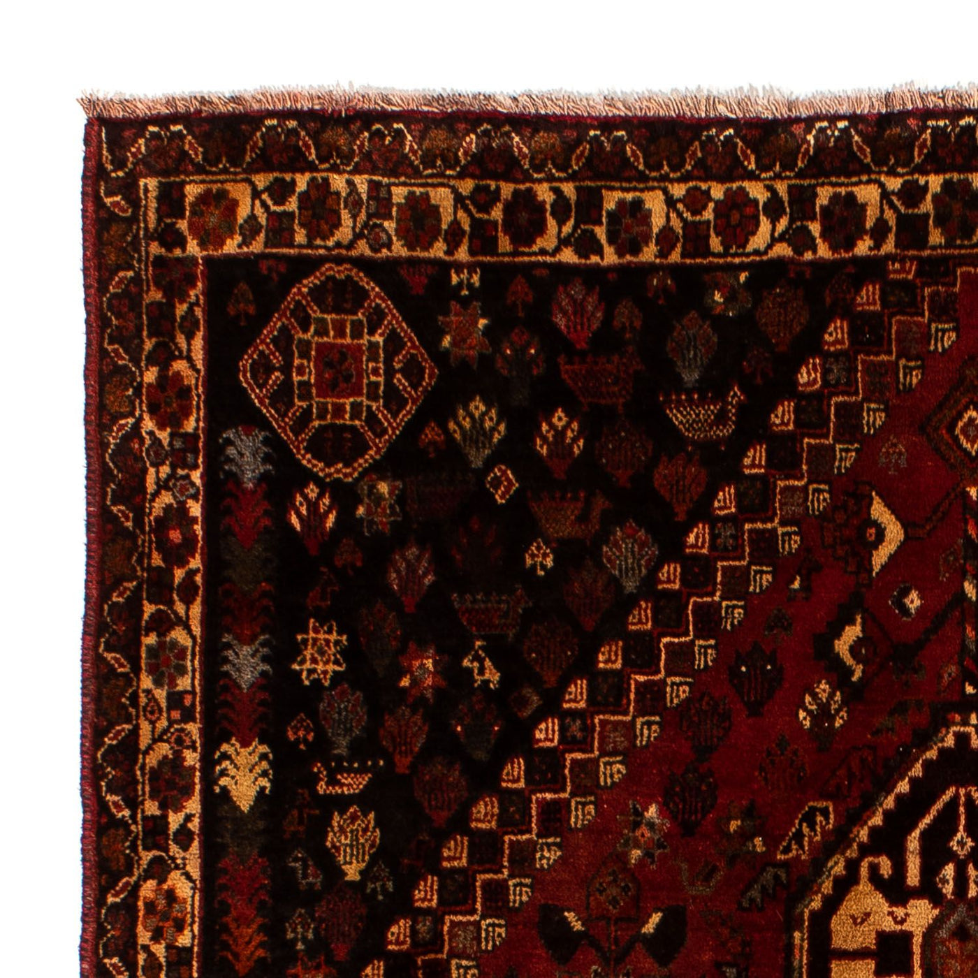 Shiraz Dywan 250x185cm - Dywan perski
