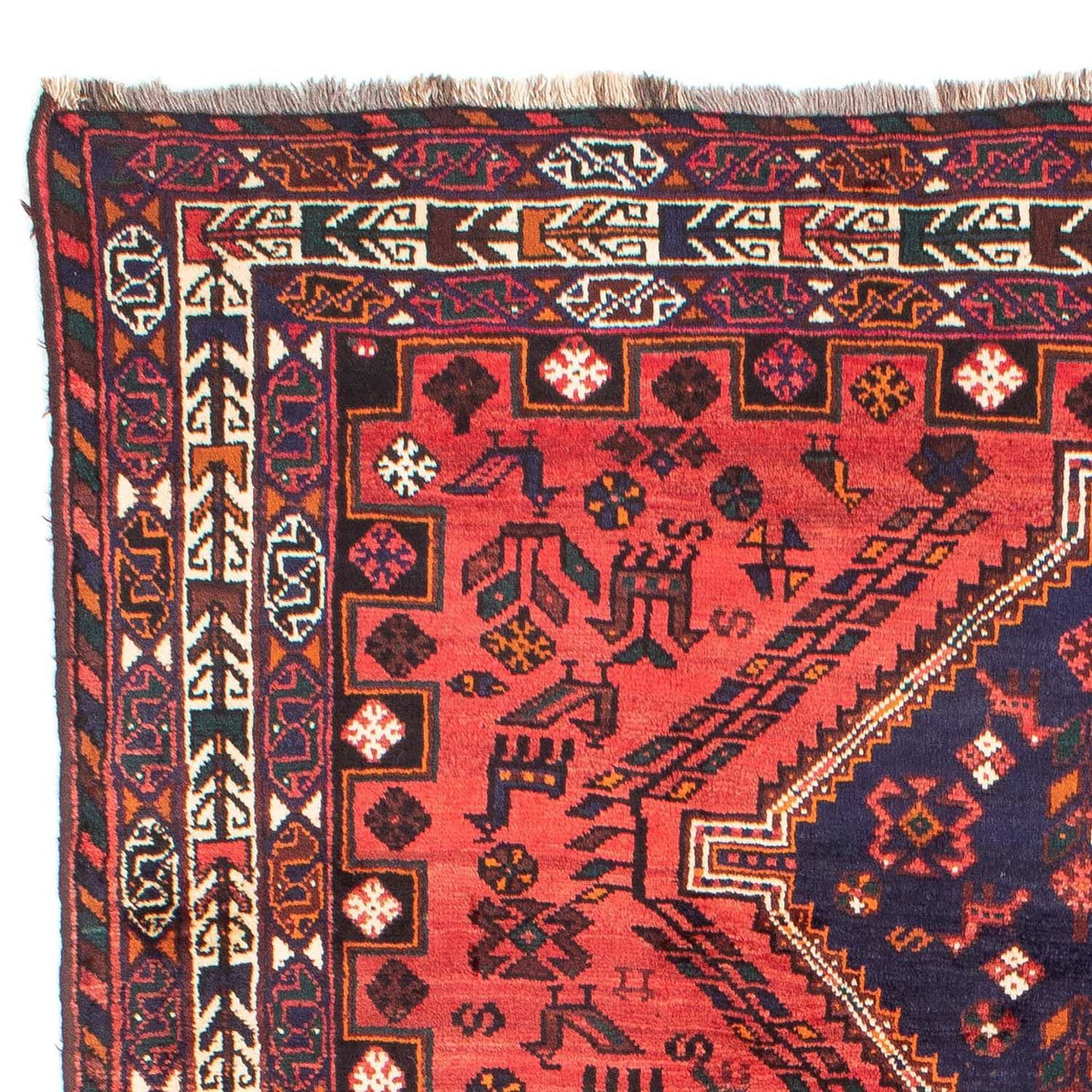 Shiraz Dywan 296x210cm - Dywan perski