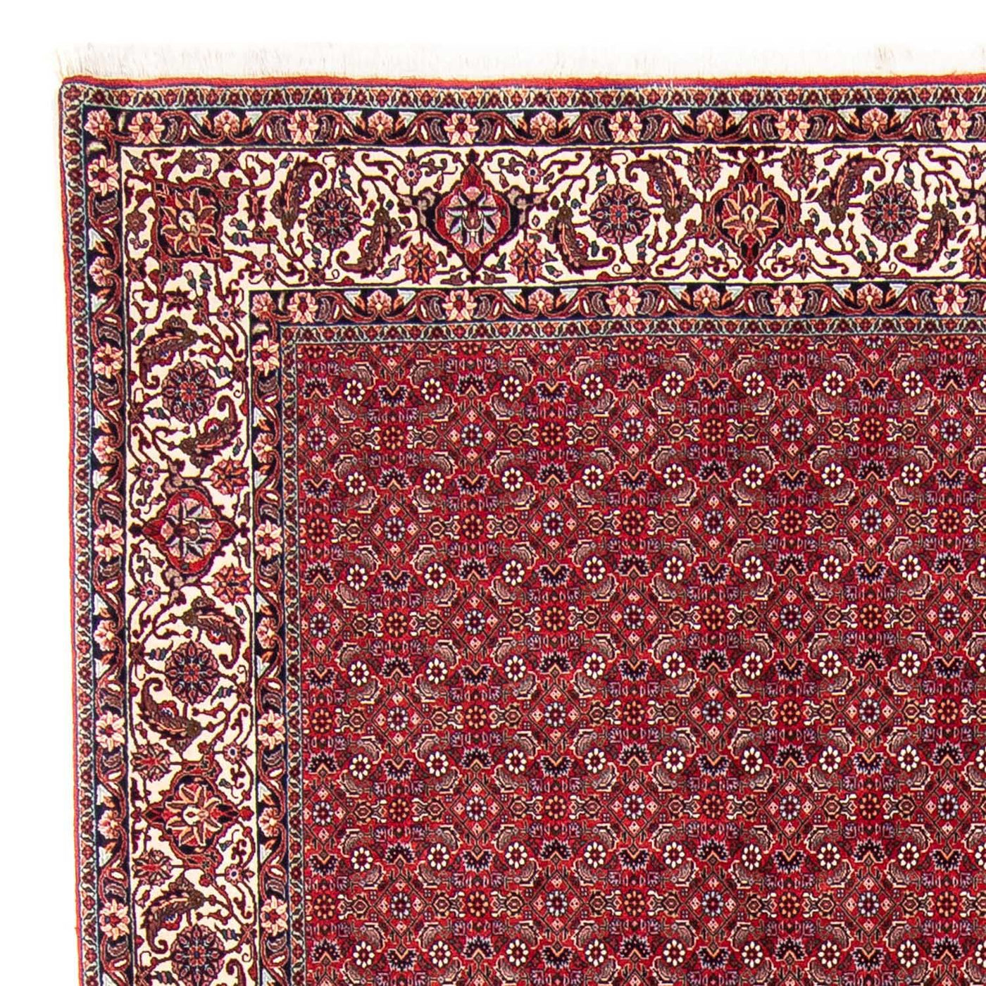 Bidjar Dywan 297x247cm - Dywan perski