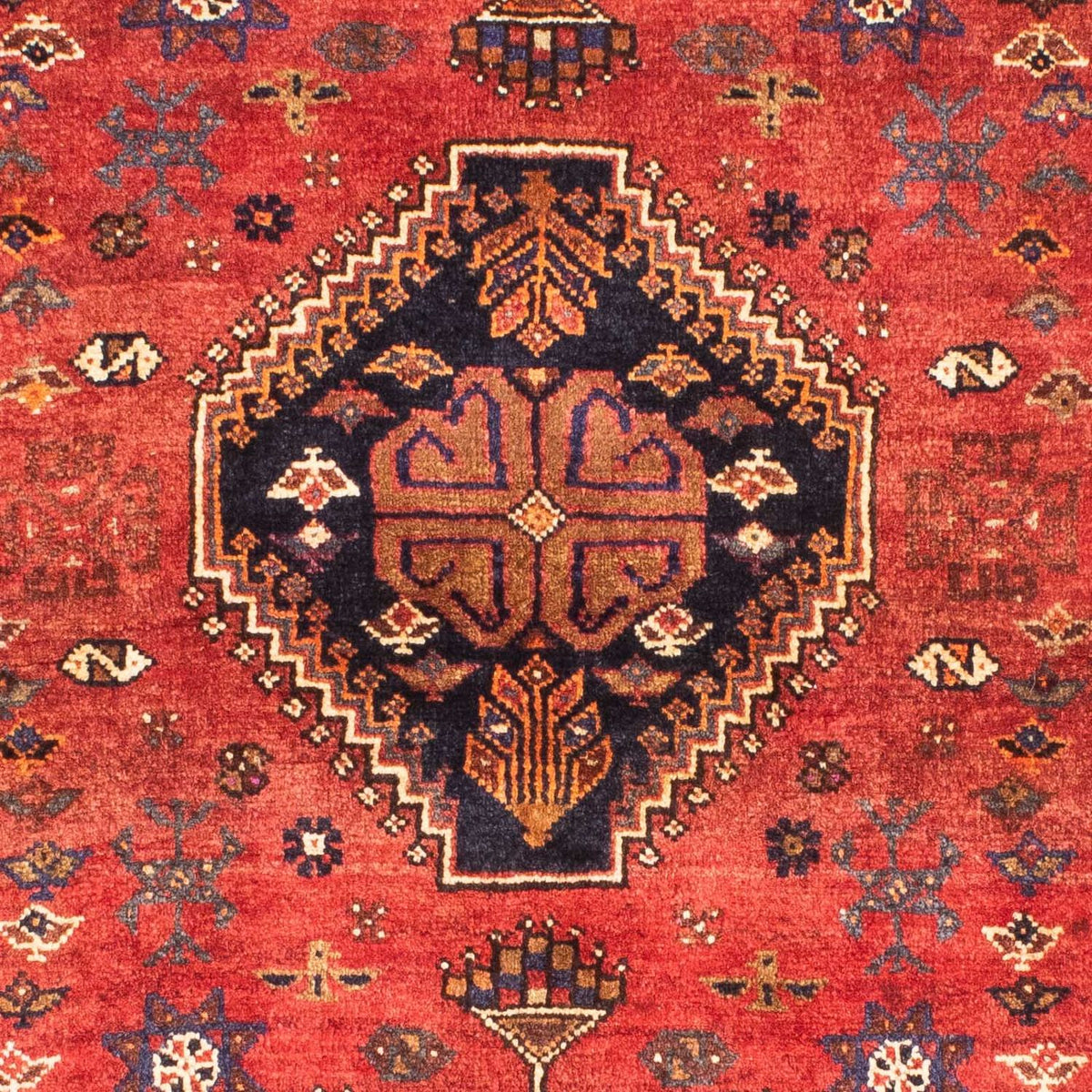 Perski dywan - Nomadyczny - 170 x 118 cm - ciemna czerwień