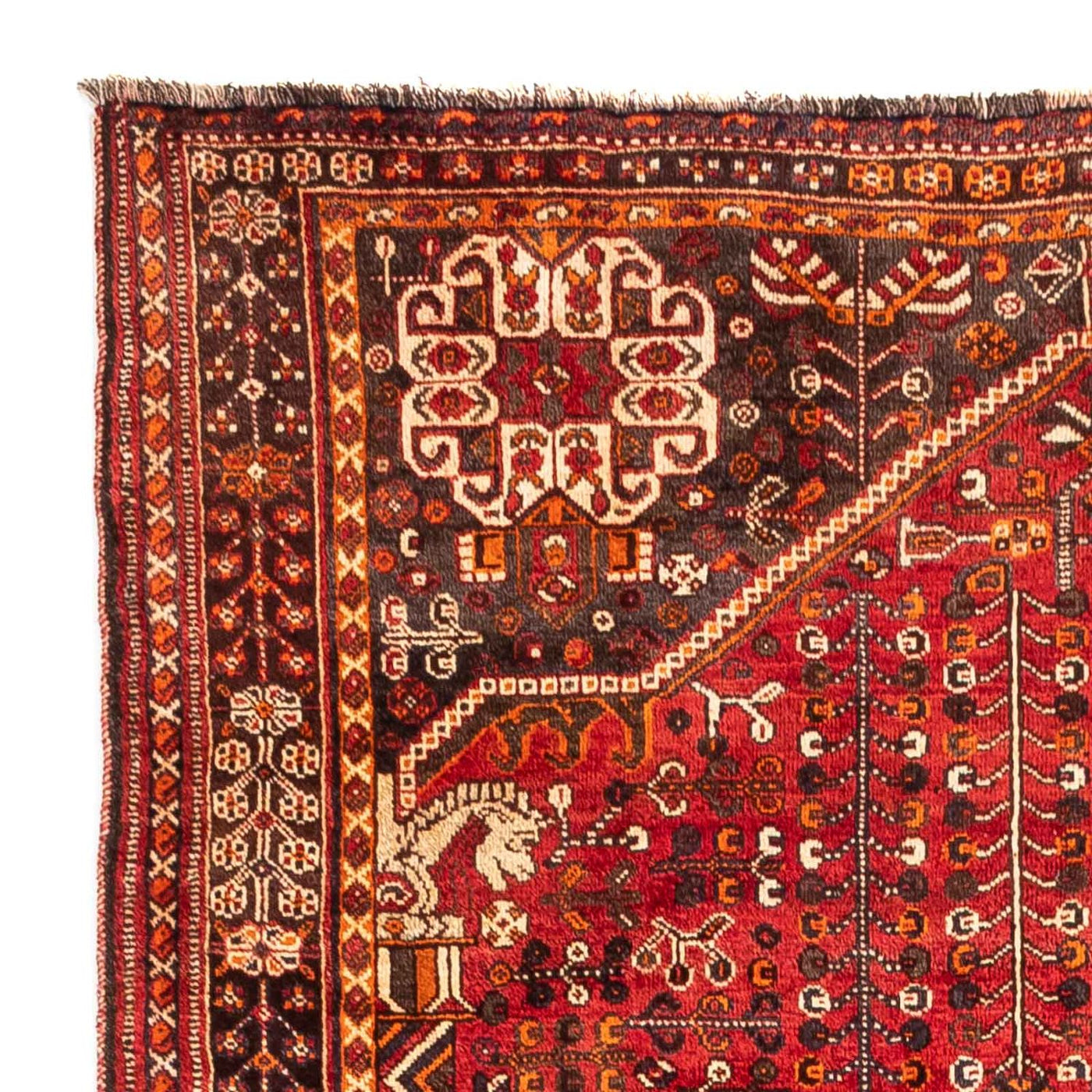Shiraz Dywan 250x160cm - Dywan perski