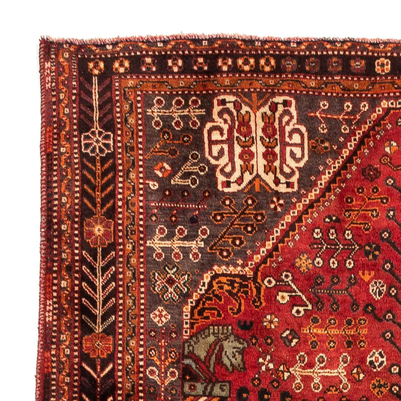 Shiraz Dywan 253x160cm - Dywan perski