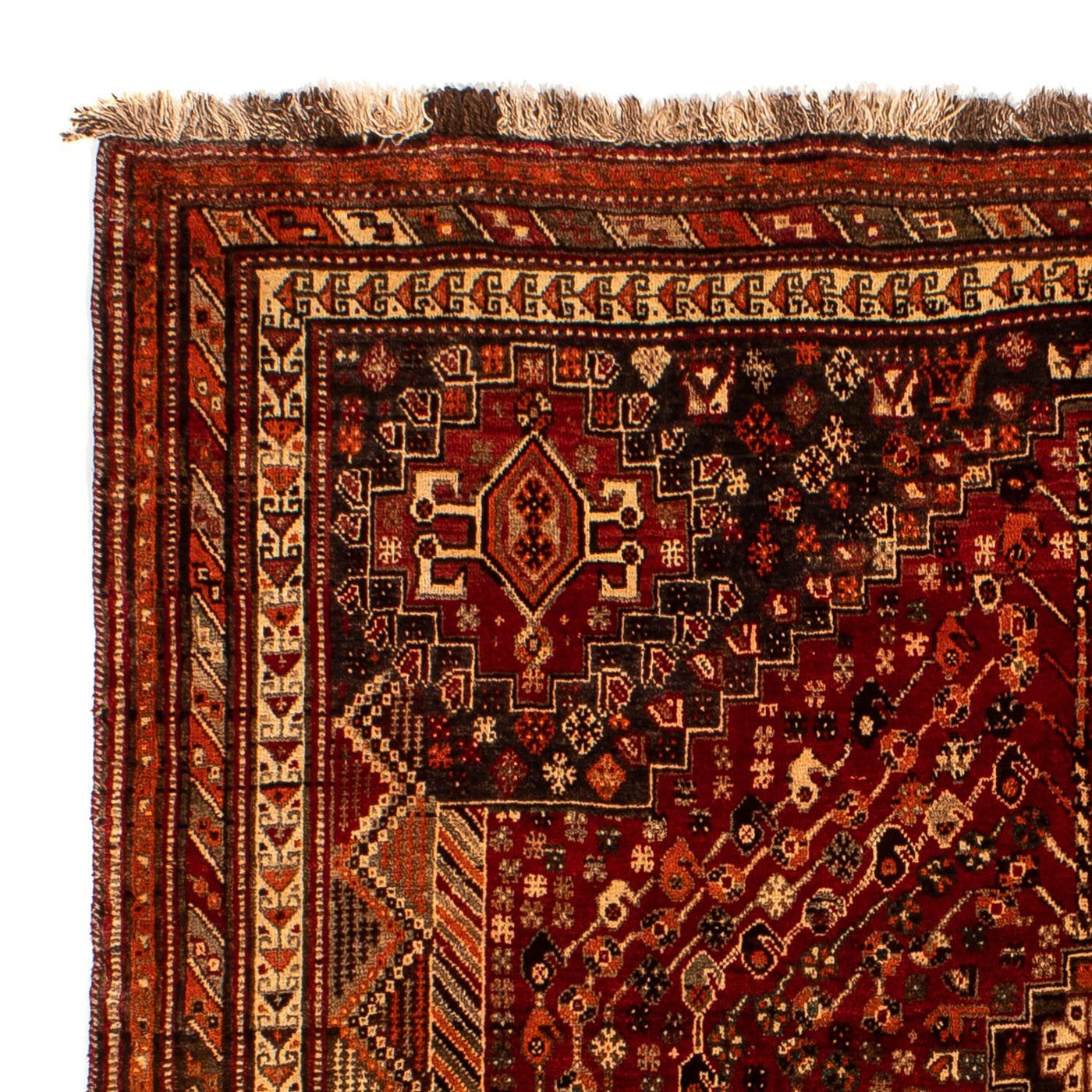 Shiraz Dywan 240x190cm - Dywan perski