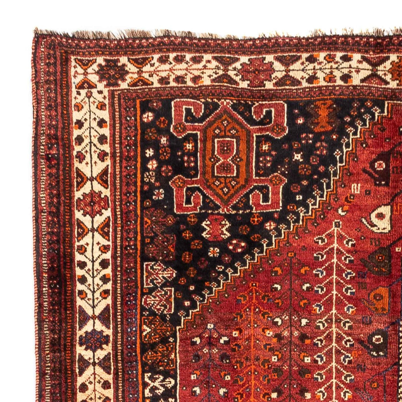 Shiraz Dywan 258x163cm - Dywan perski