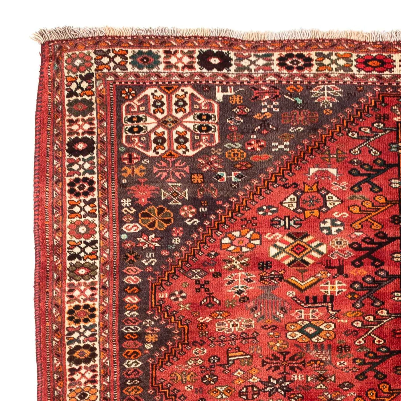 Shiraz Dywan 243x174cm - Dywan perski