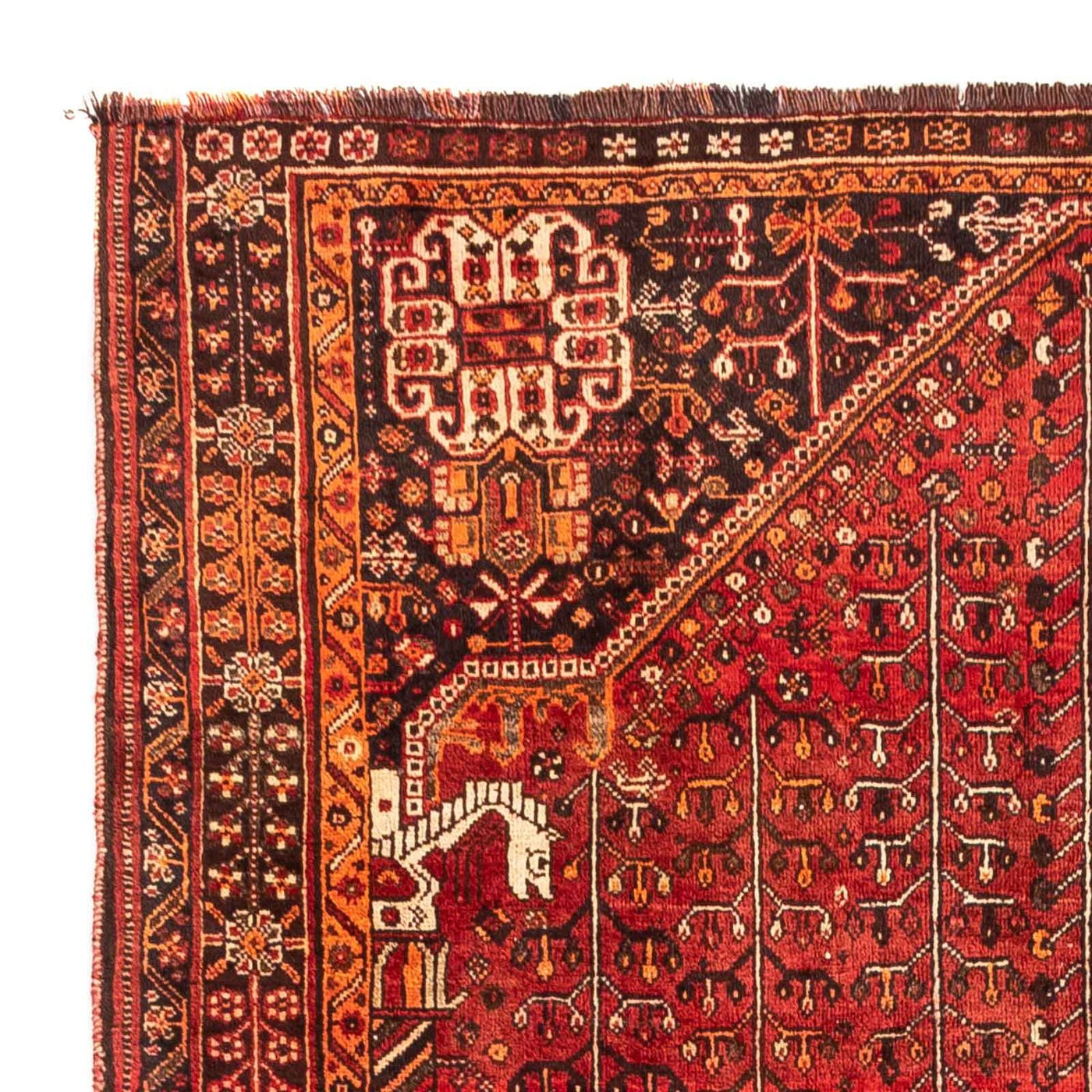 Shiraz Dywan 240x158cm - Dywan perski