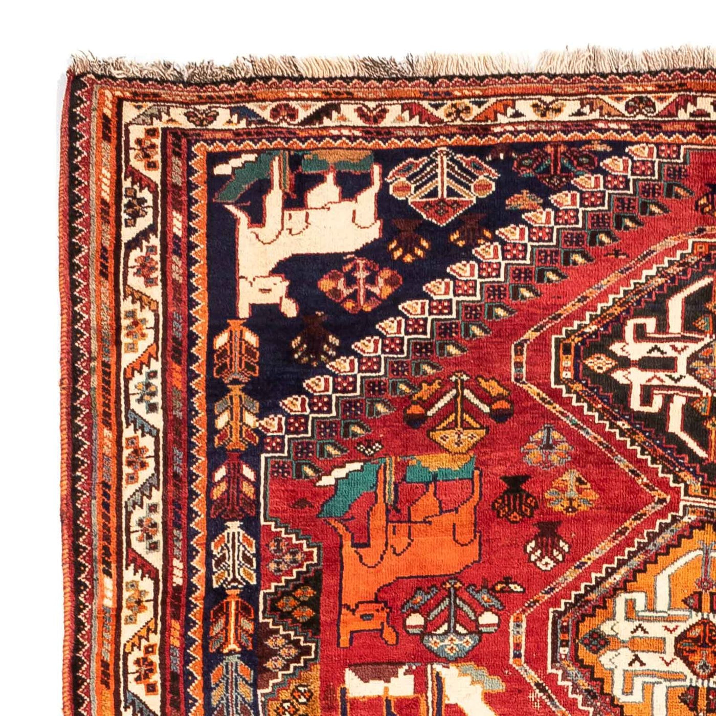 Shiraz Dywan 265x172cm - Dywan perski