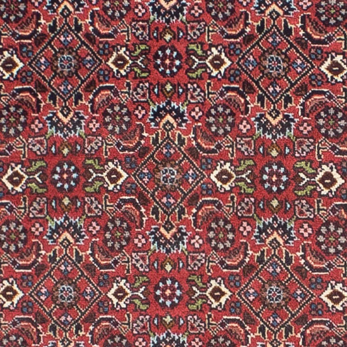 Biegacz Dywan perski - Bijar - 243 x 68 cm - jasna czerwień