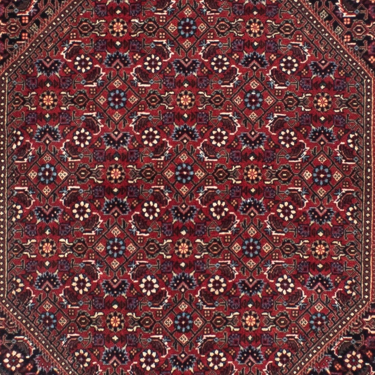 Biegacz Dywan perski - Bijar - 306 x 85 cm - rdza