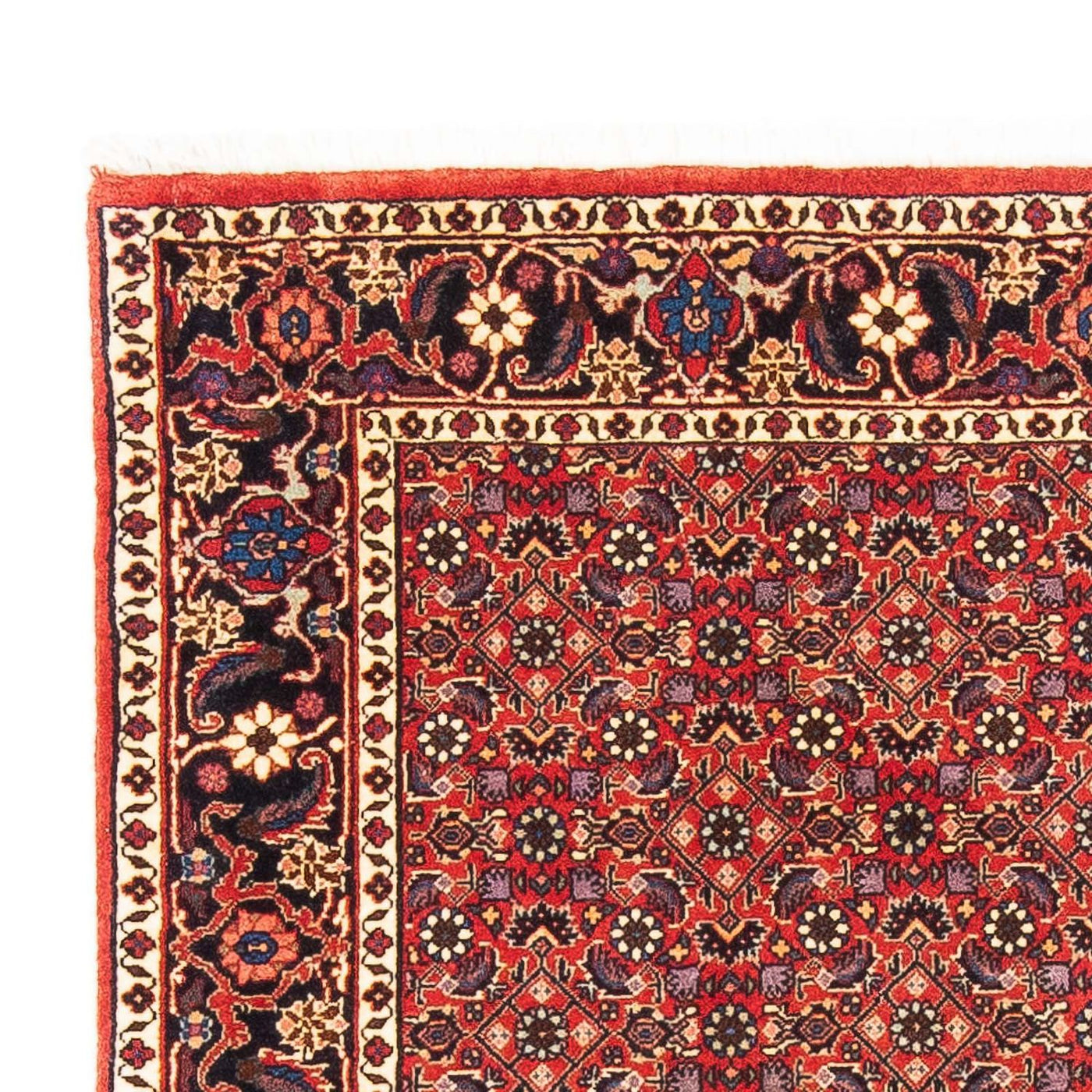Bidjar Dywan 183x114cm - Dywan perski