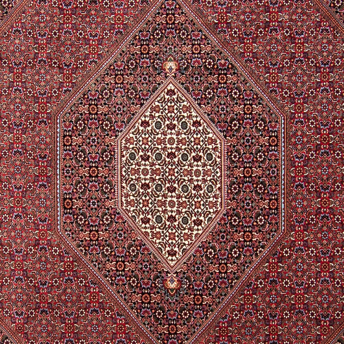 Dywan perski - Bijar - 298 x 258 cm - czerwony