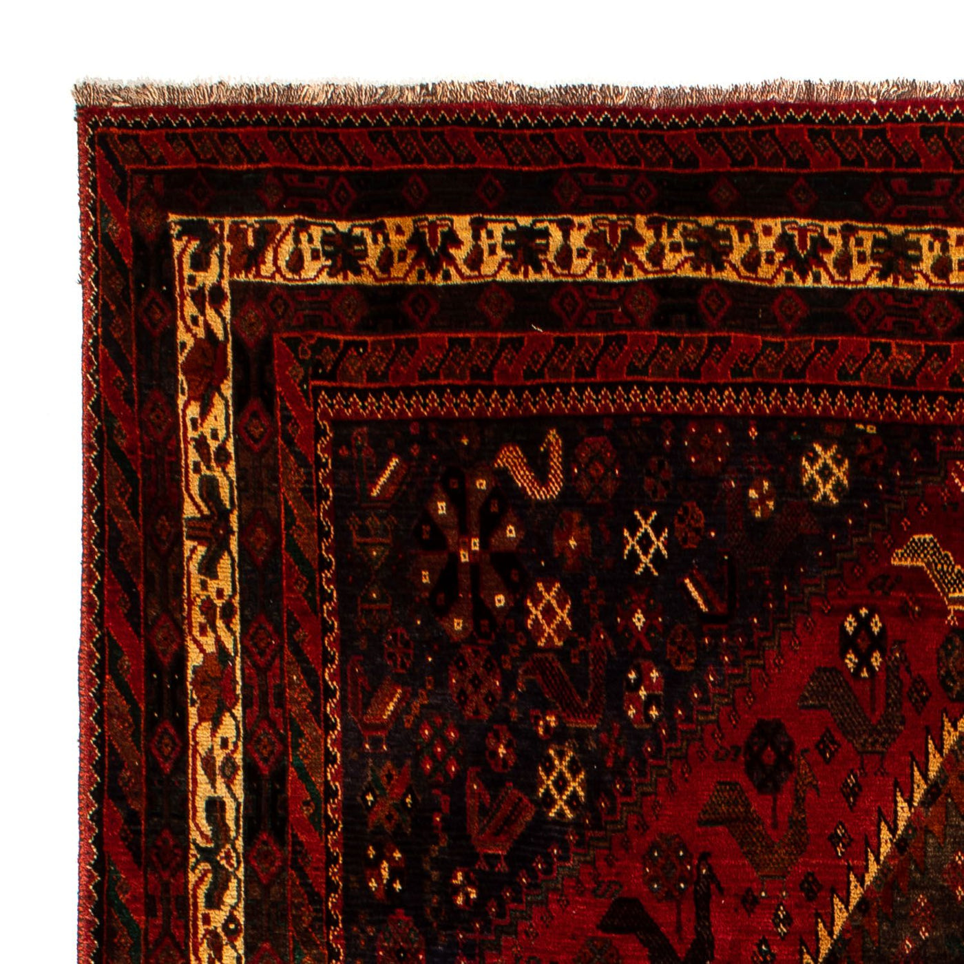 Shiraz Dywan 312x208cm - Dywan perski