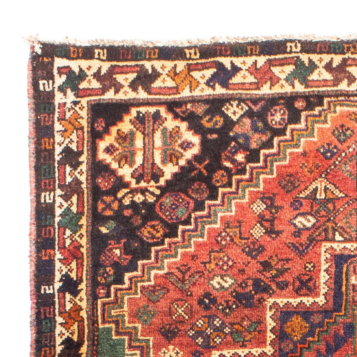 Shiraz Dywan 114x154cm - Dywan perski