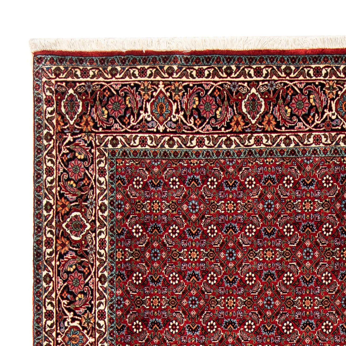 Bidjar Dywan 231x170cm - Dywan perski