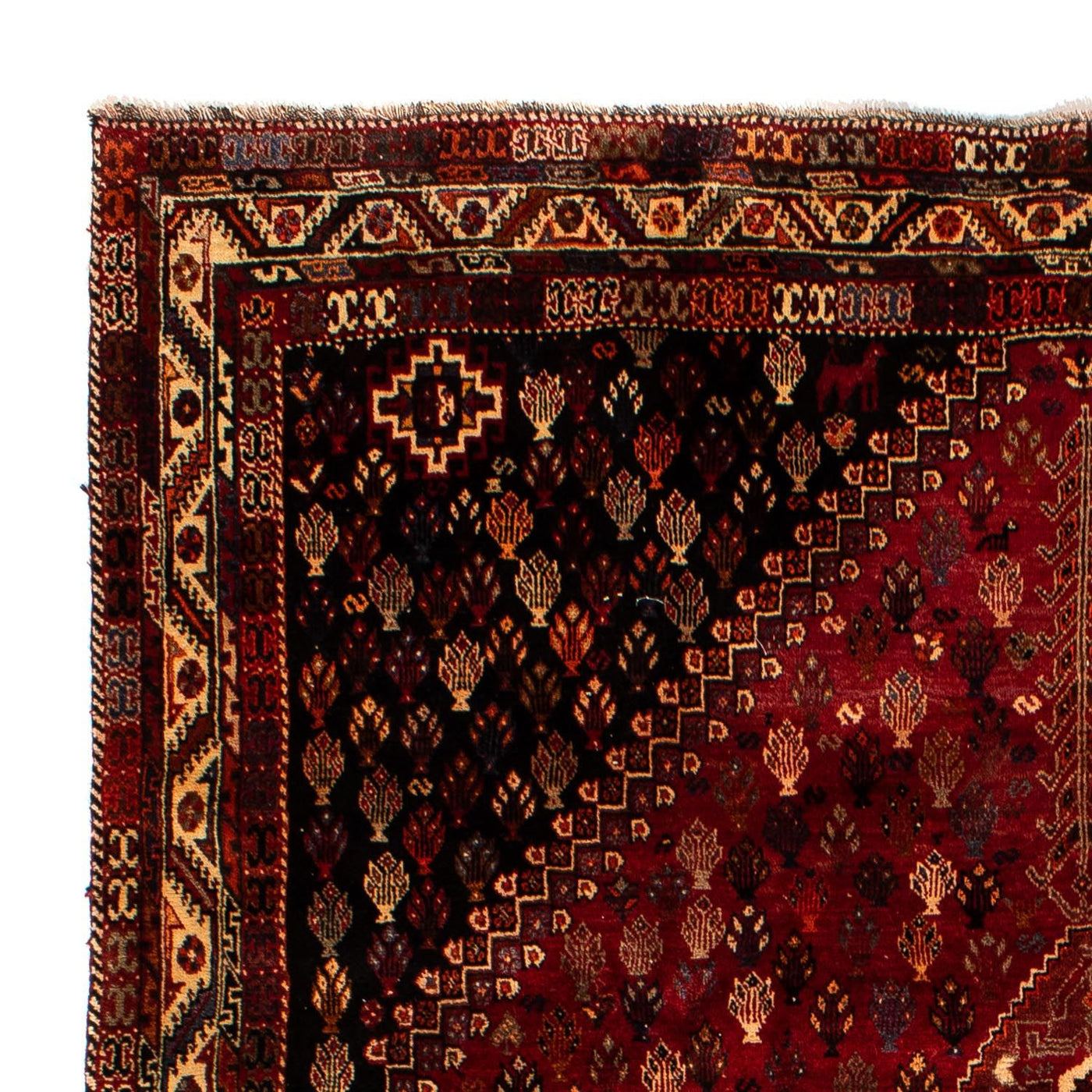 Shiraz Dywan 315x216cm - Dywan perski